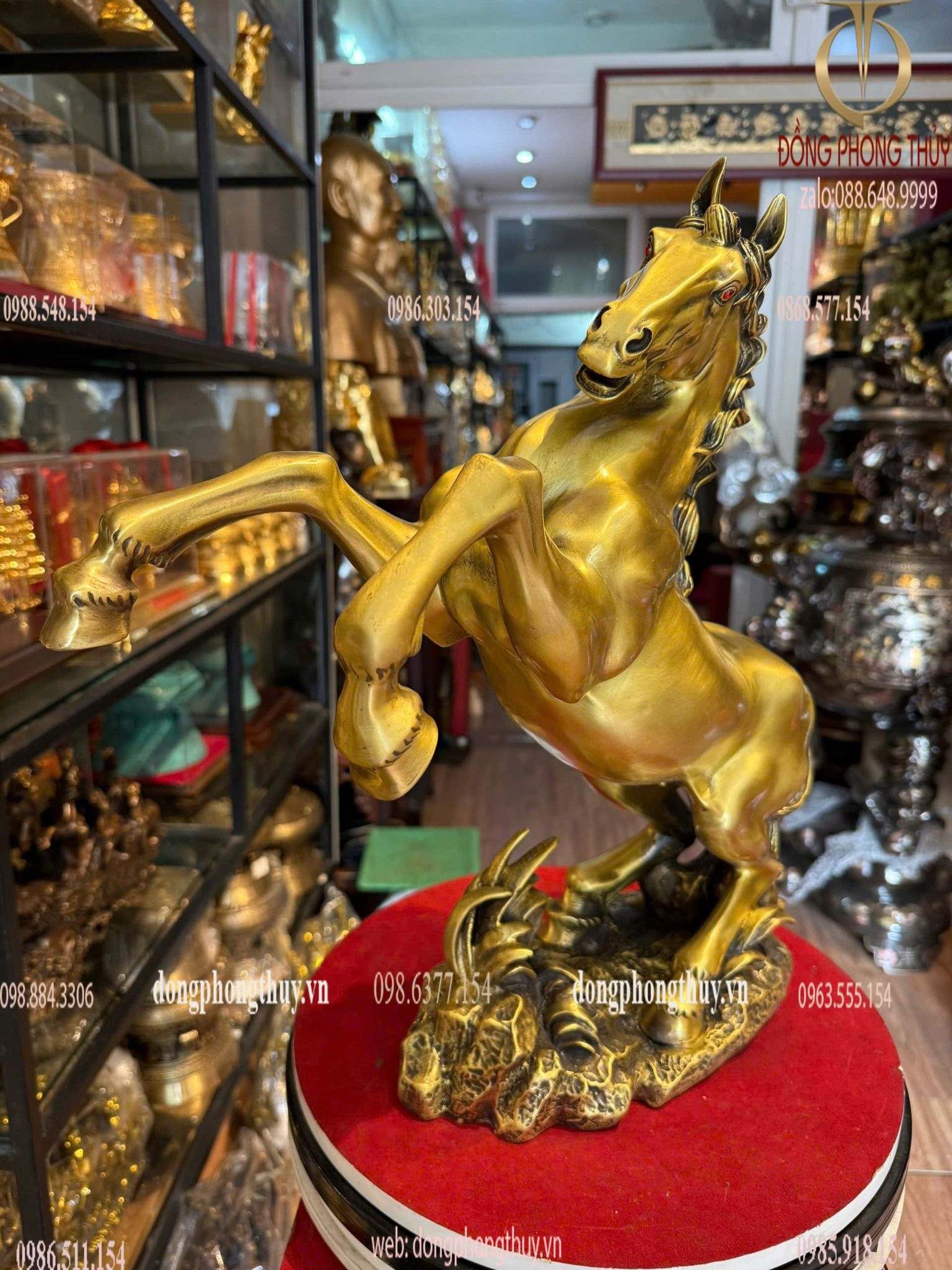 Hình ảnh sản phẩm