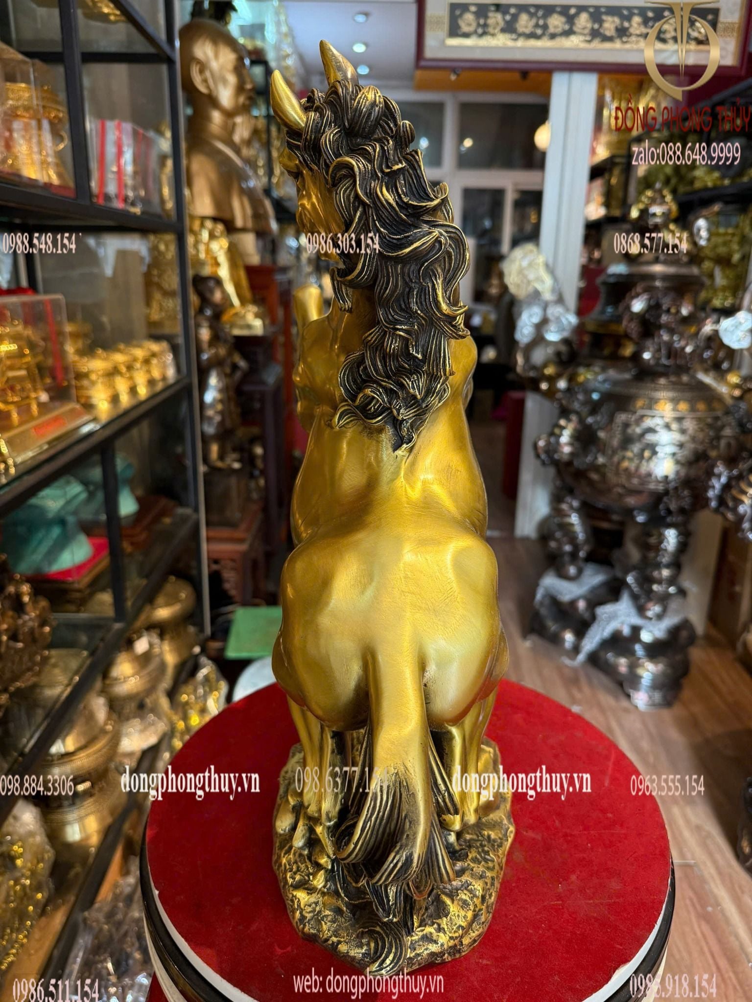 Hình ảnh sản phẩm