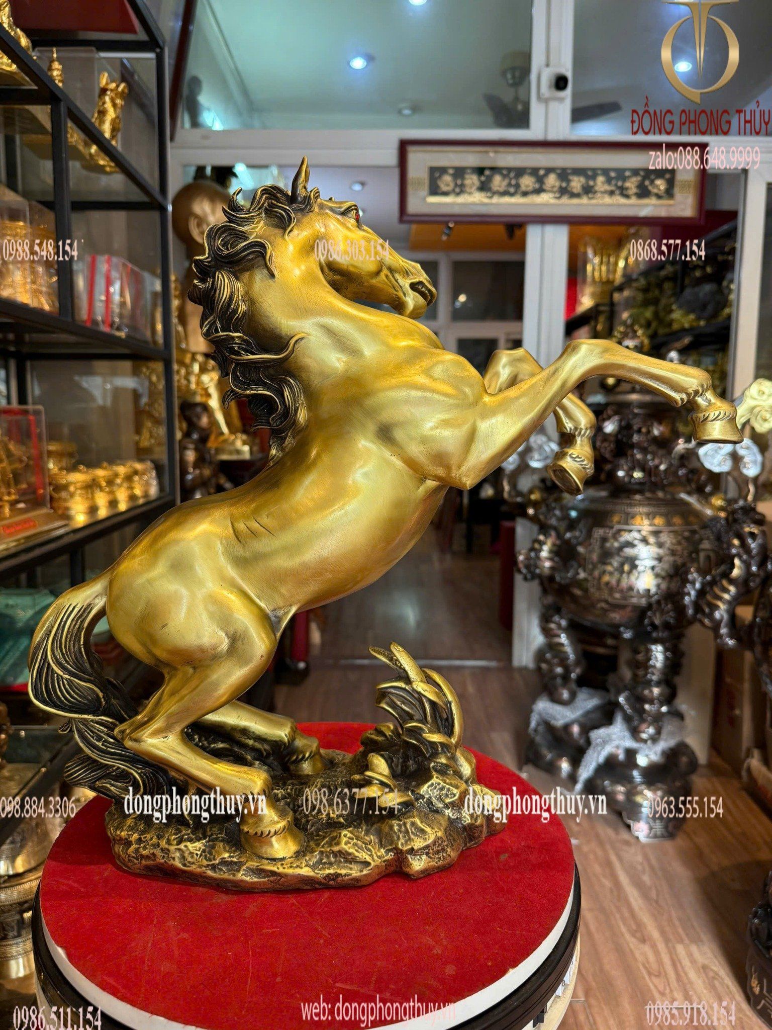 Hình ảnh sản phẩm