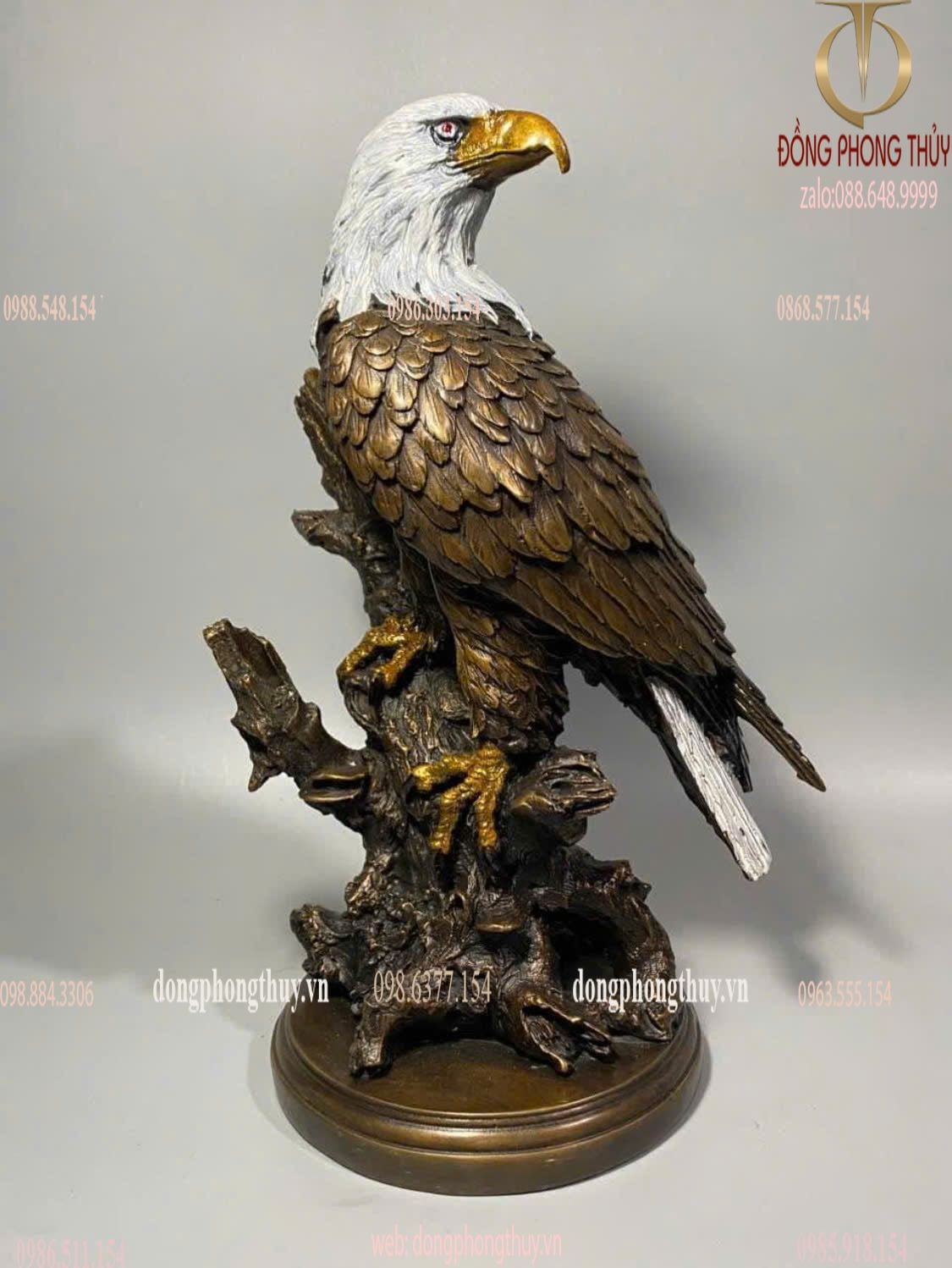 Hình ảnh sản phẩm