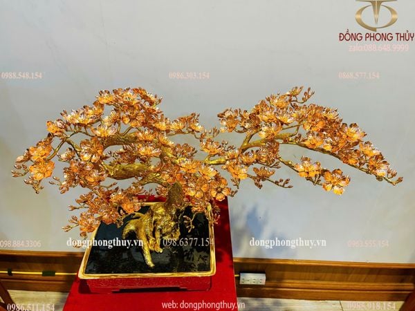 Chậu đào bằng đồng mạ vàng 24k cao 42 ngang 75 rông 35 nặng 10kg