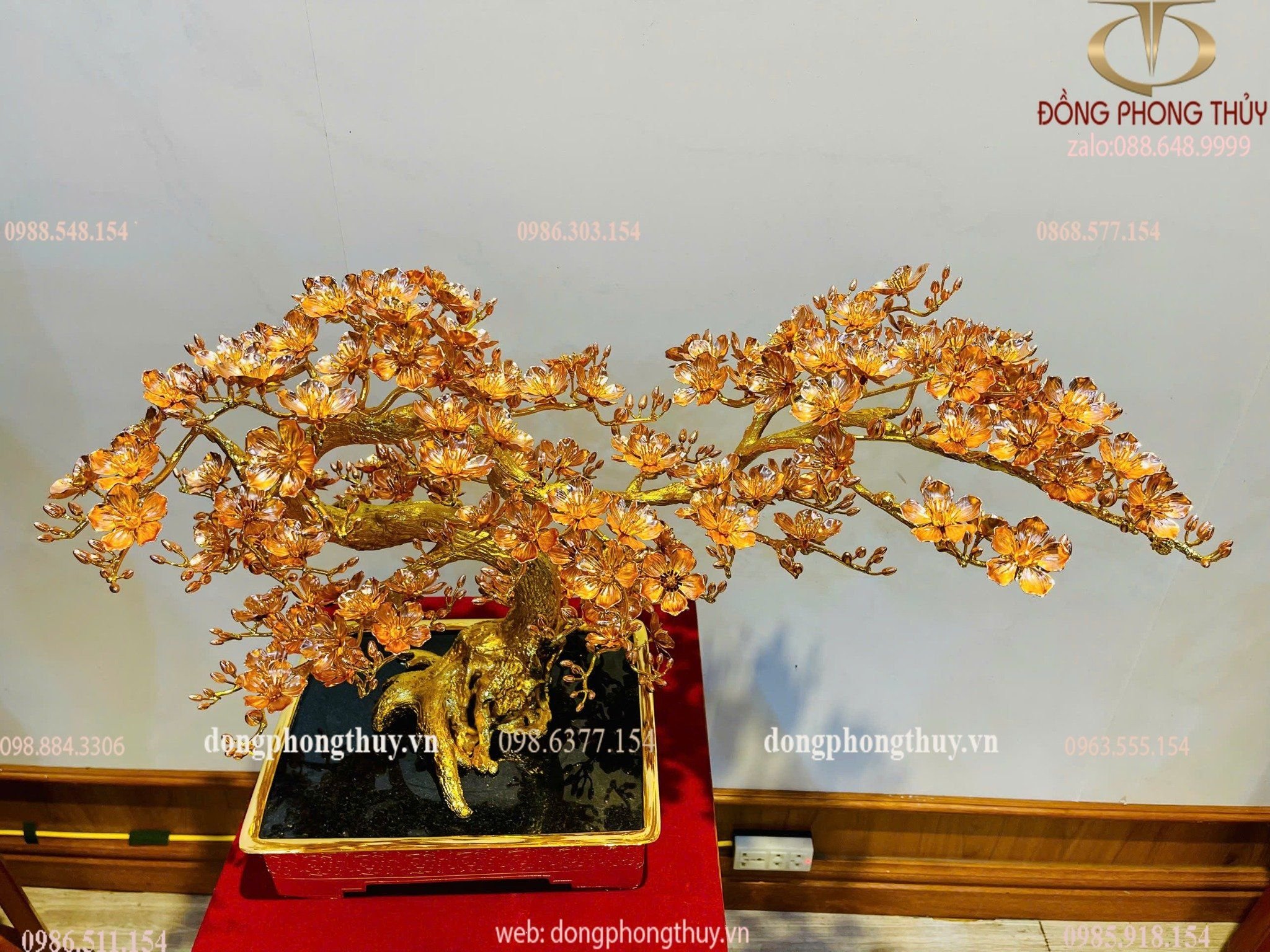 Hình ảnh sản phẩm