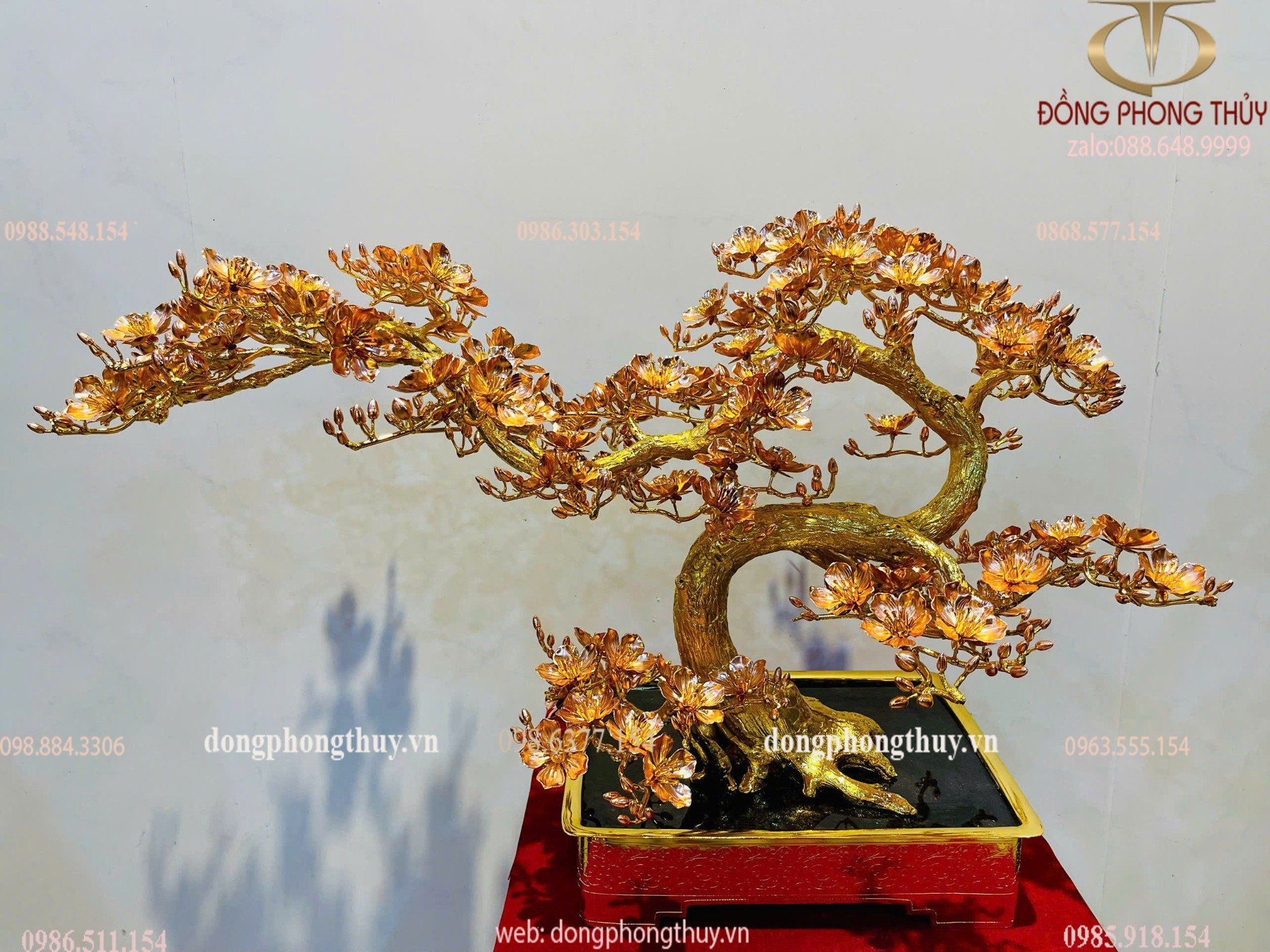 Hình ảnh sản phẩm