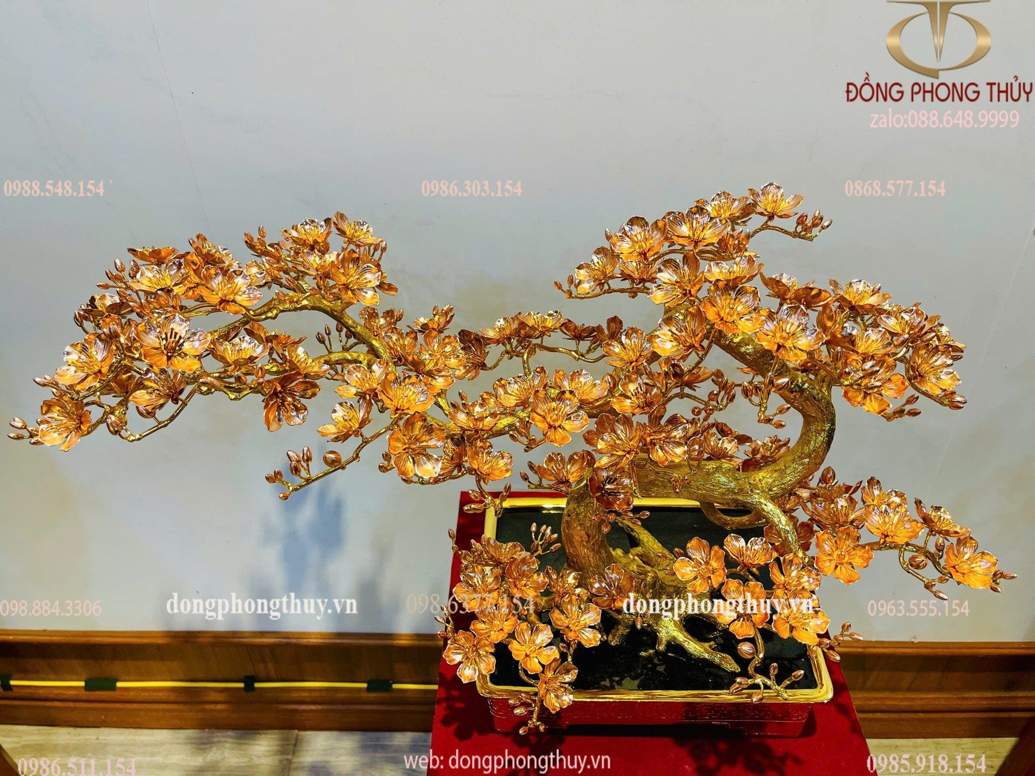 Hình ảnh sản phẩm