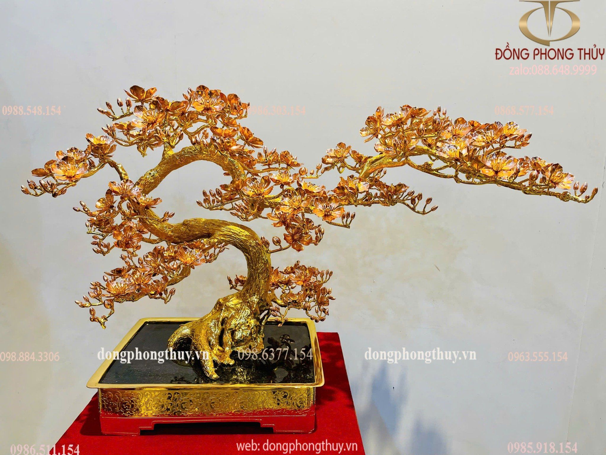 Hình ảnh sản phẩm