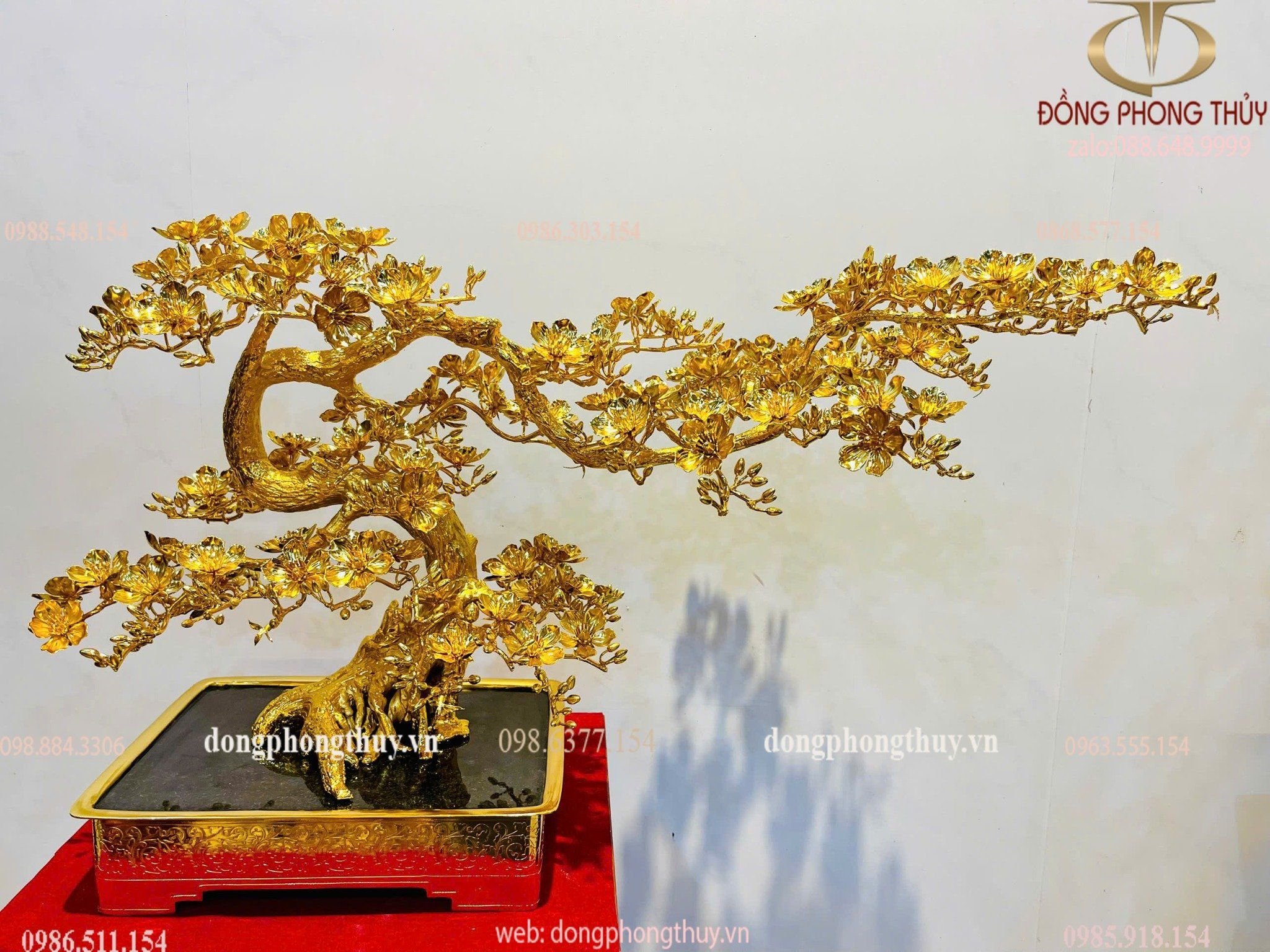 Hình ảnh sản phẩm