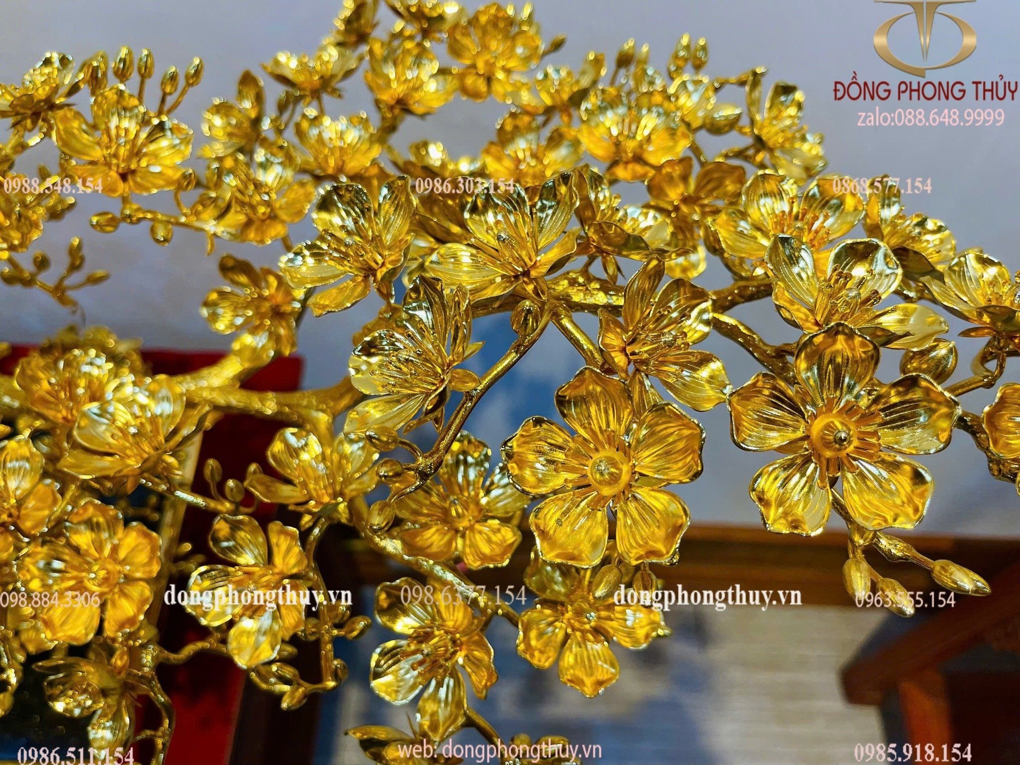 Hình ảnh sản phẩm