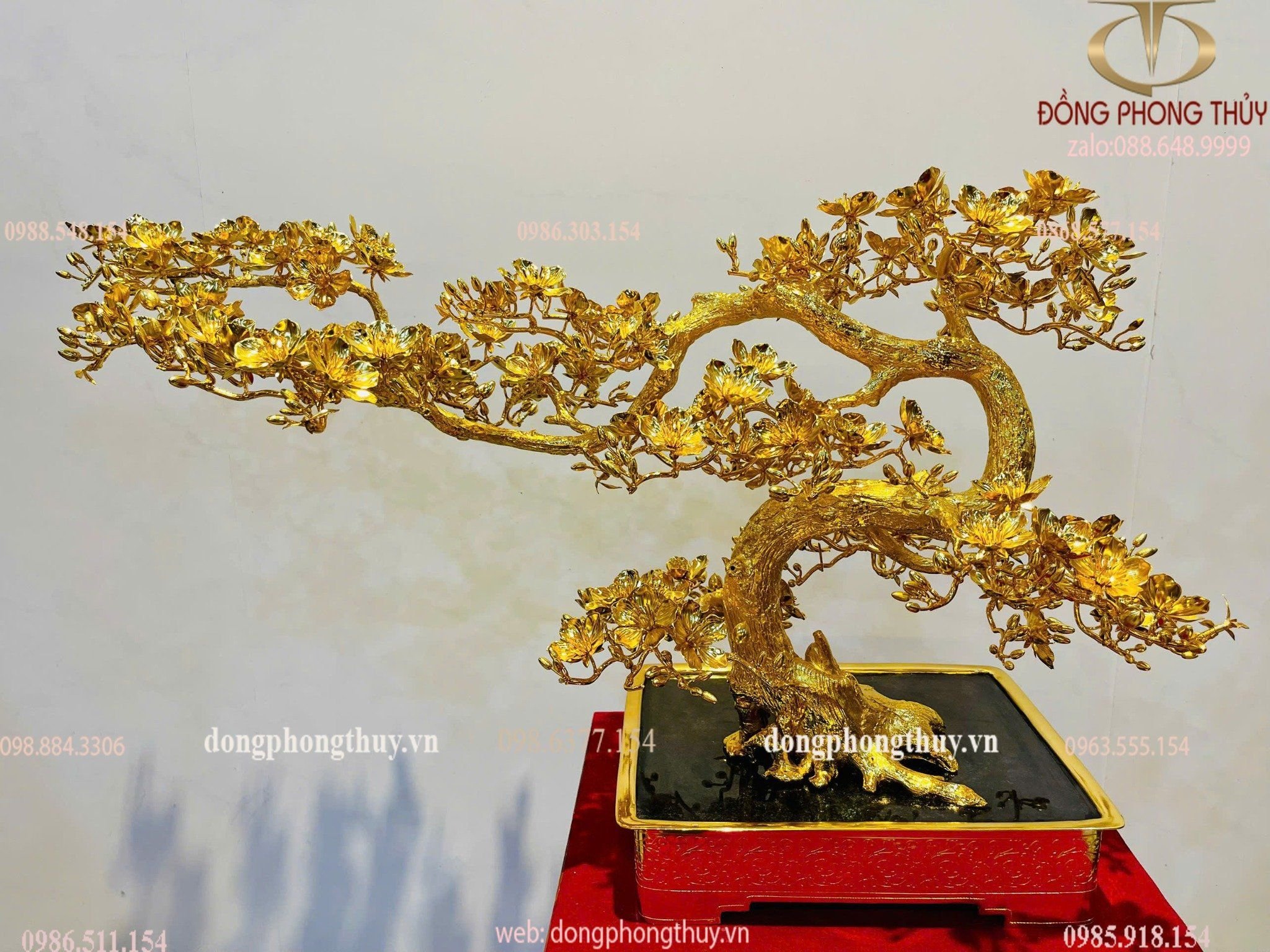 Hình ảnh sản phẩm