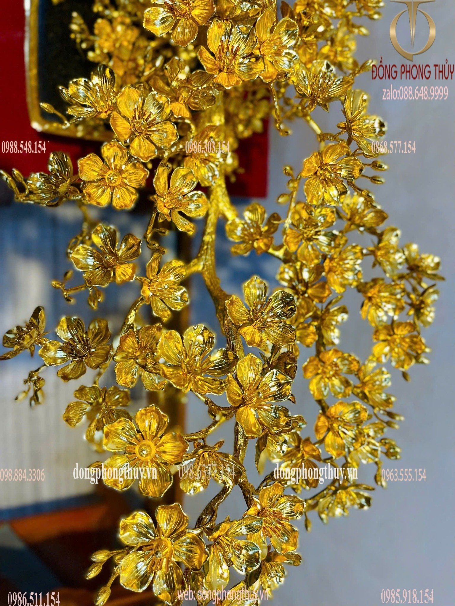 Hình ảnh sản phẩm