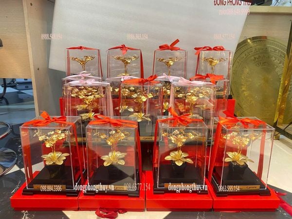 Quà tặng sếp: Chậu hoa lan 3 cành quà tặng mạ vàng 24k