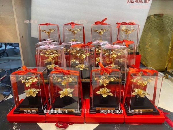 Quà tặng sếp: Chậu hoa lan 3 cành quà tặng mạ vàng 24k