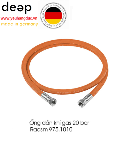 Ống dẫn khí gas Raasm 20 bar piqi2 | Www.Thietbinhapkhau.Com | Công Ty PQ 