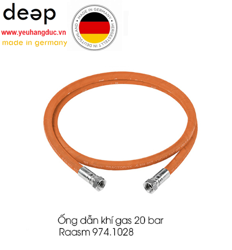 Ống dẫn khí gas Raasm 20 bar piqi2 | Www.Thietbinhapkhau.Com | Công Ty PQ 