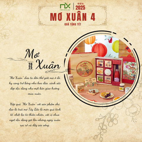  T2516 COMBO HỘP QUÀ 35 (MƠ XUÂN-R) 