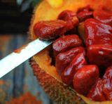  Đậu Nành Phủ Gấc 100g (140g) Collection 