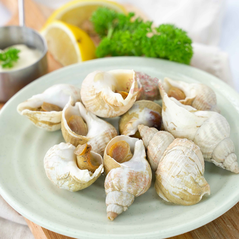 Ốc Bulot Pháp Hấp