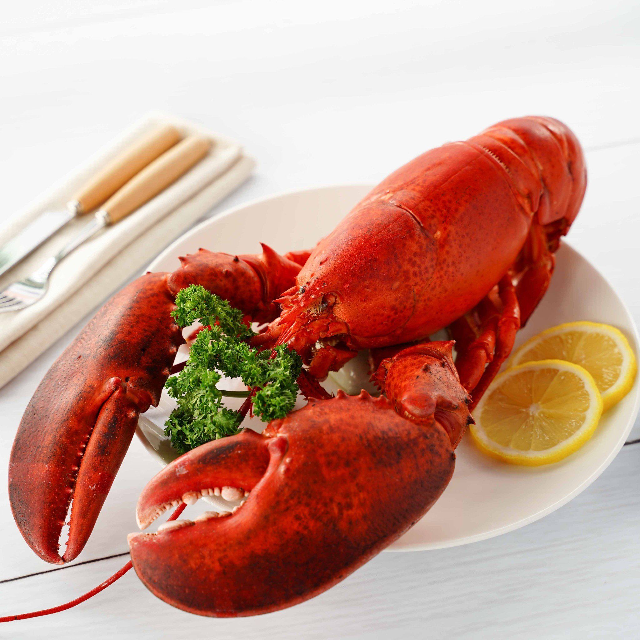 Tôm Hùm Alaska Hấp Tự Nhiên – Lobster Bay