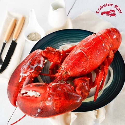 Tôm Hùm Alaska Fresh Hấp Kiểu Pháp + TẶNG 1 Miến Cua Xé Sốt X.O