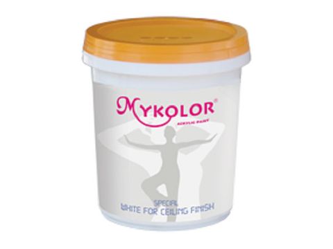  Sơn chống thấm pha xi măng Mykolor Special Water Seal 
