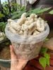 Bỏng đa hạt thực dưỡng 500gram