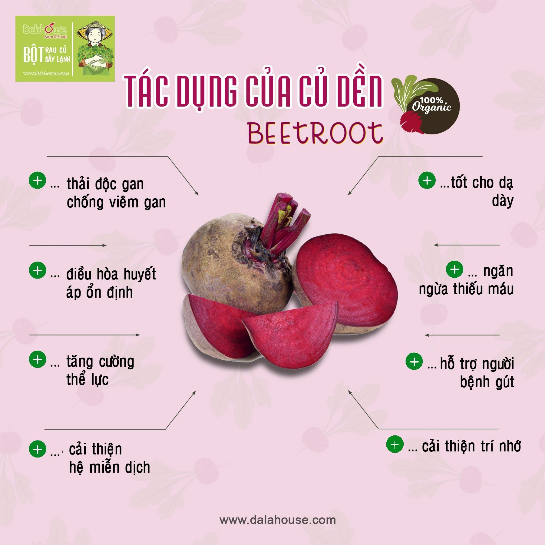Bột củ dền hữu cơ Dalahouse 120gram
