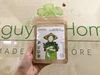 Bột rau diếp cá sấy lạnh nguyên chất Dalat