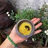 Bột vỏ quýt chua Thảo Nguyên Home hũ 100gram