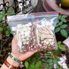Canh phục vị
