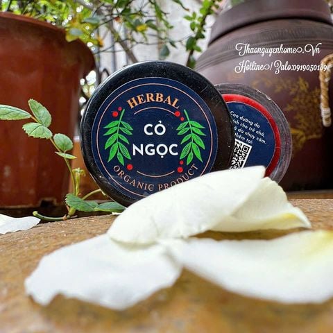  Cao cỏ ngọc 