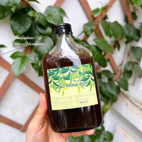  Cao bổ phổi 250ml 