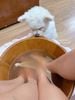 Thảo dược ngâm chân