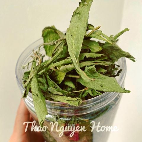  Cỏ ngọt ( Stevia) 