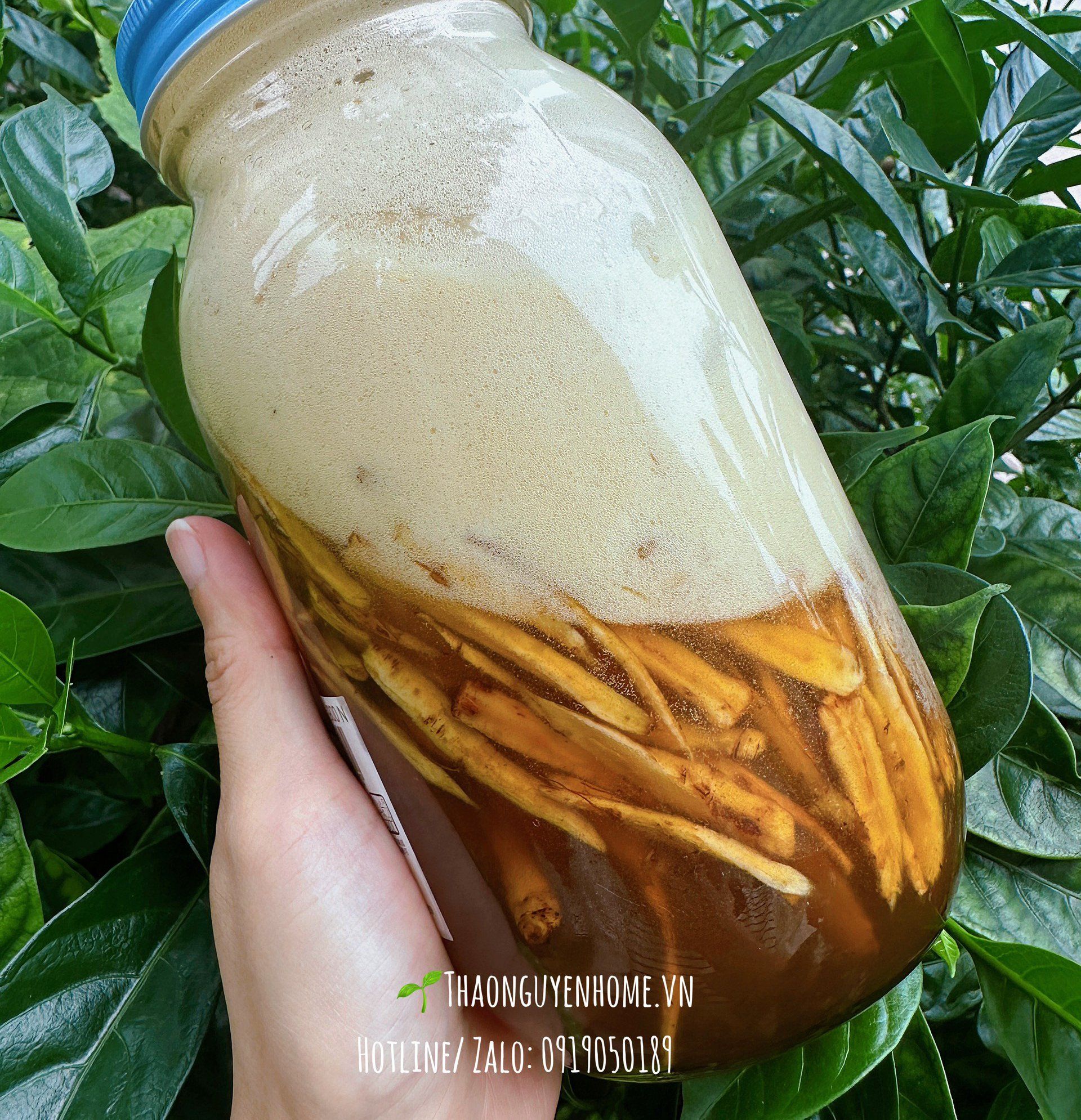 Rễ bồ công anh ngâm mật ong rừng