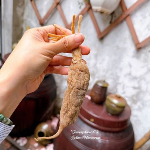  CẢI XÀ BẤU THỰC DƯỠNG  ( CỦ CẢI MUỐI ) 