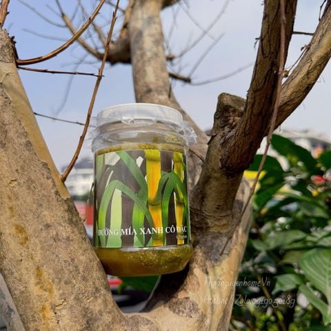  Đường mía xanh cô đặc hũ 600gr 