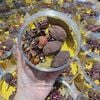 Hoa tiêu Tứ Xuyên thượng hạng hũ 50gram