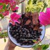 Viên hoàn đen tóc hũ 20 viên  ( Fallopia multiflora)