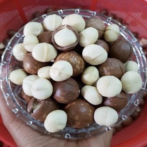  Macca Daklak xuất Nhật gói 500gram 