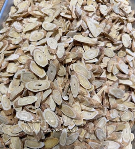  Hoàng Kỳ tinh tuyển 250gr 