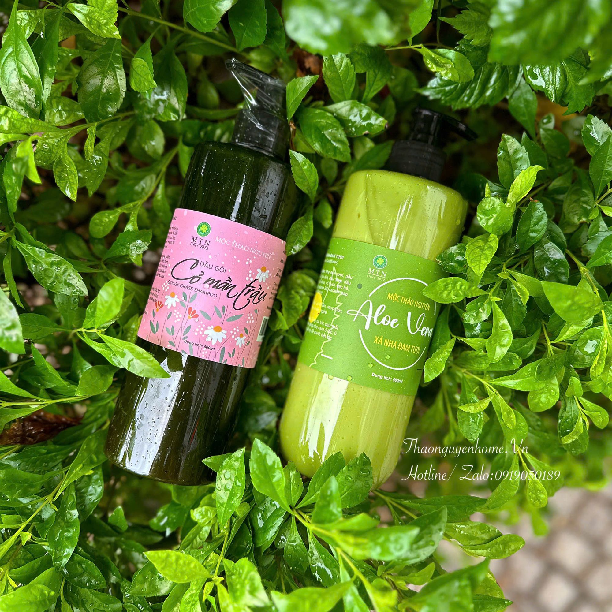 Xả tóc nhũ hoá nha đam tươi 500ml