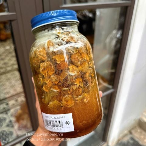  Kha tử già ngậm mật ong rừng 