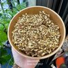 Mầm mạch nha rễ mảnh cong hộp 200gr
