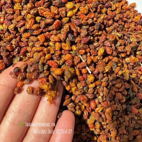  Quả mai biển hoang dã Mông Cổ 100gram 