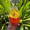 Mật ong quýt chua 500ml