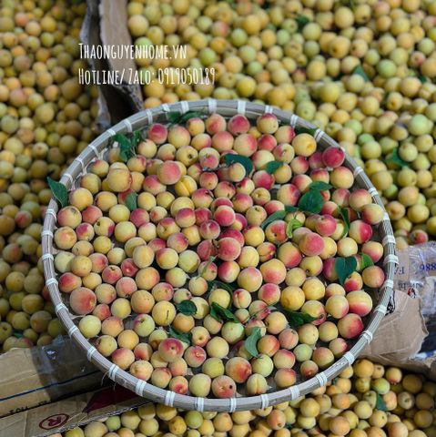  Mơ thóc má đào ngâm đường thô giải khát 