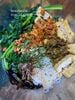 Mỳ gạo trộn Quế Lâm