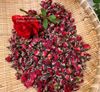 Nụ hồng Tây Tạng dòng vip nụ đỏ siêu thơm