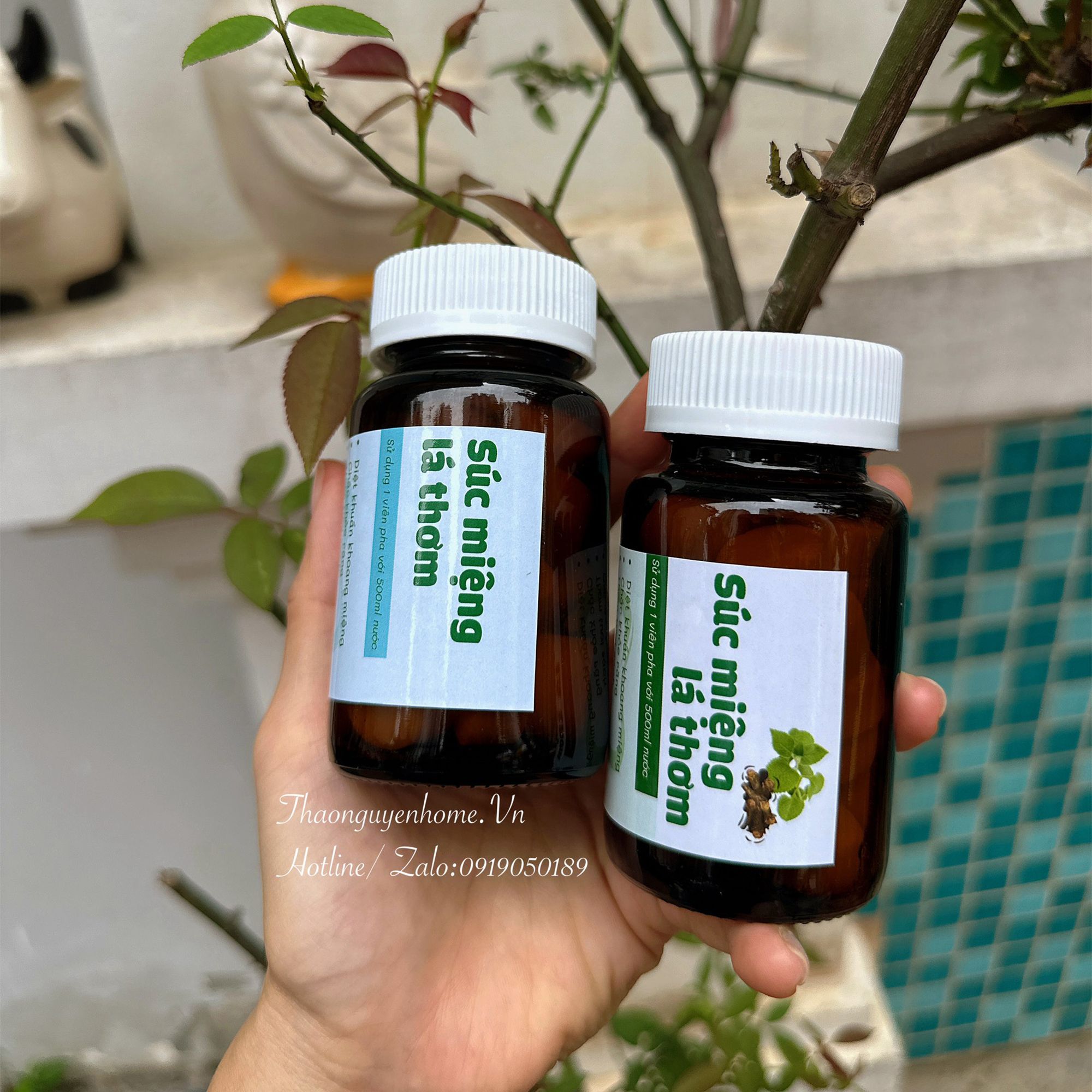 Súc miệng lá thơm muối nén hũ 20viên