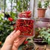 Bột ớt xiêm hũ 100gram