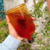 Saffron ngâm mật ong rừng